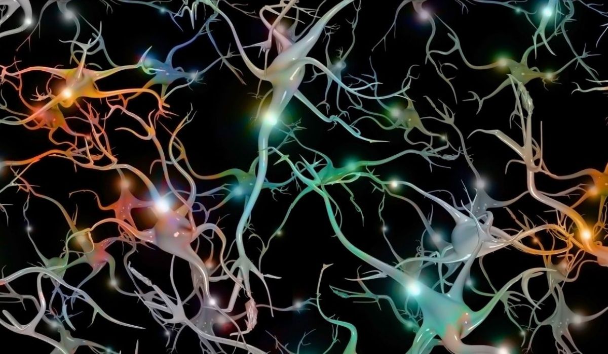 Synthetic brain cells that store 'memories' are possible, new model reveals